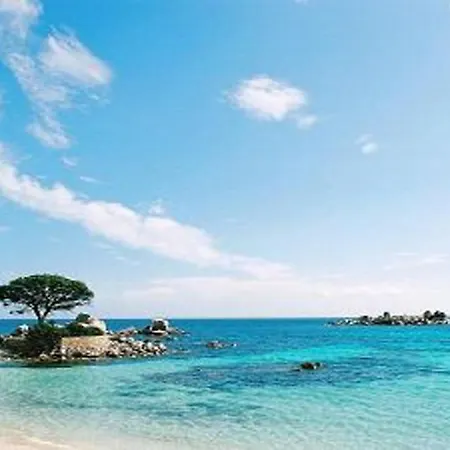 Apartman Superbe T2 Standing Calme Port De Plaisance Porto-Vecchio